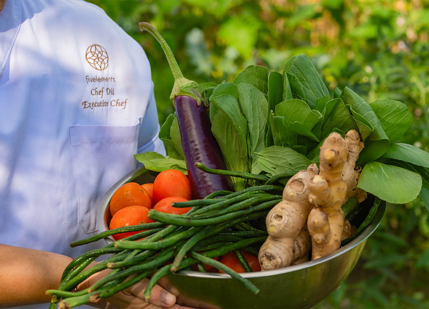 GUT HEALTH & MICROBIOME WELLNESS