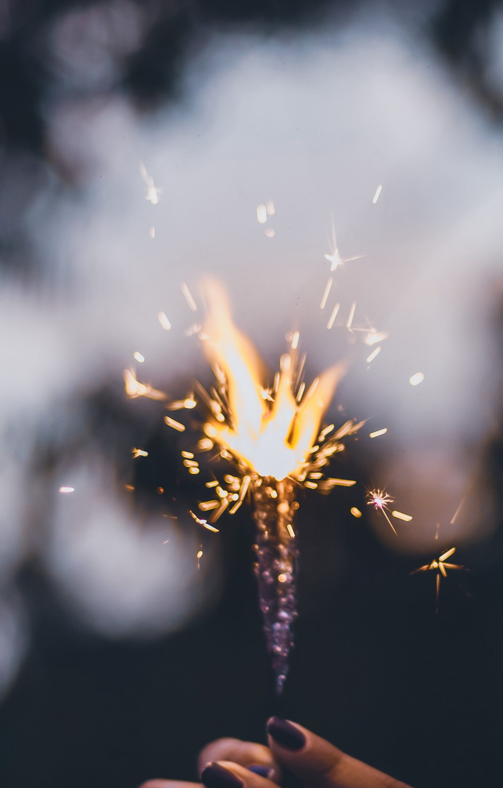 The Spark of Creation