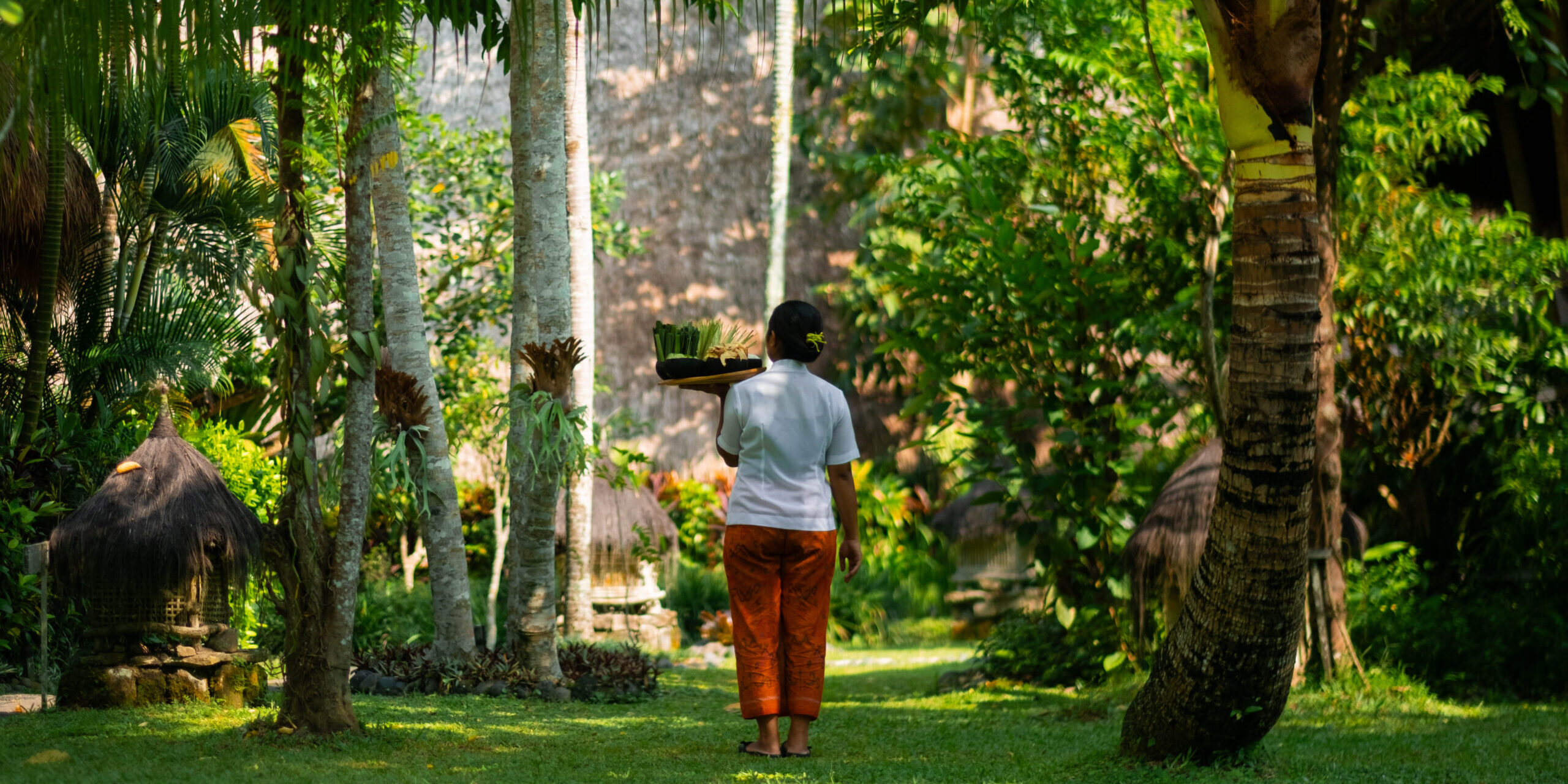 FIVELEMENTS RETREAT BALI BECOMES FIVELEMENTS UBUD: A NEW CHAPTER IN OUR STORY